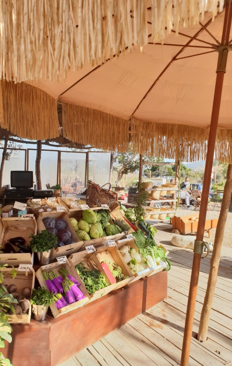 Organic vegetables at Can Muson in Ibiza