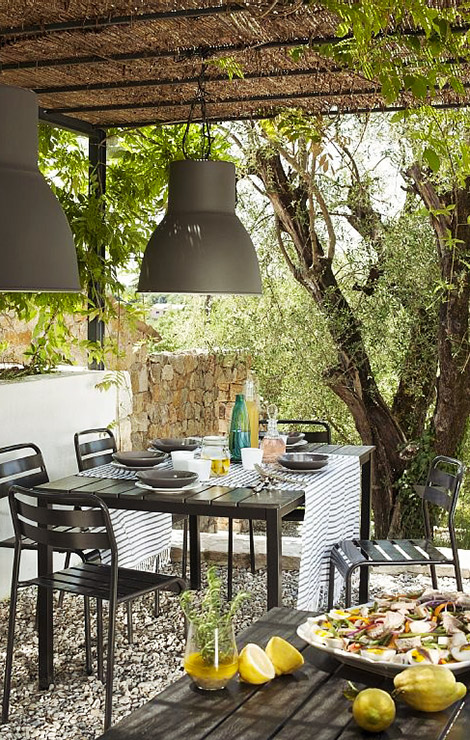 Olive garden at luxury villa in Valbonne