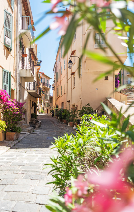 Streets of Le Suquet in Cannes