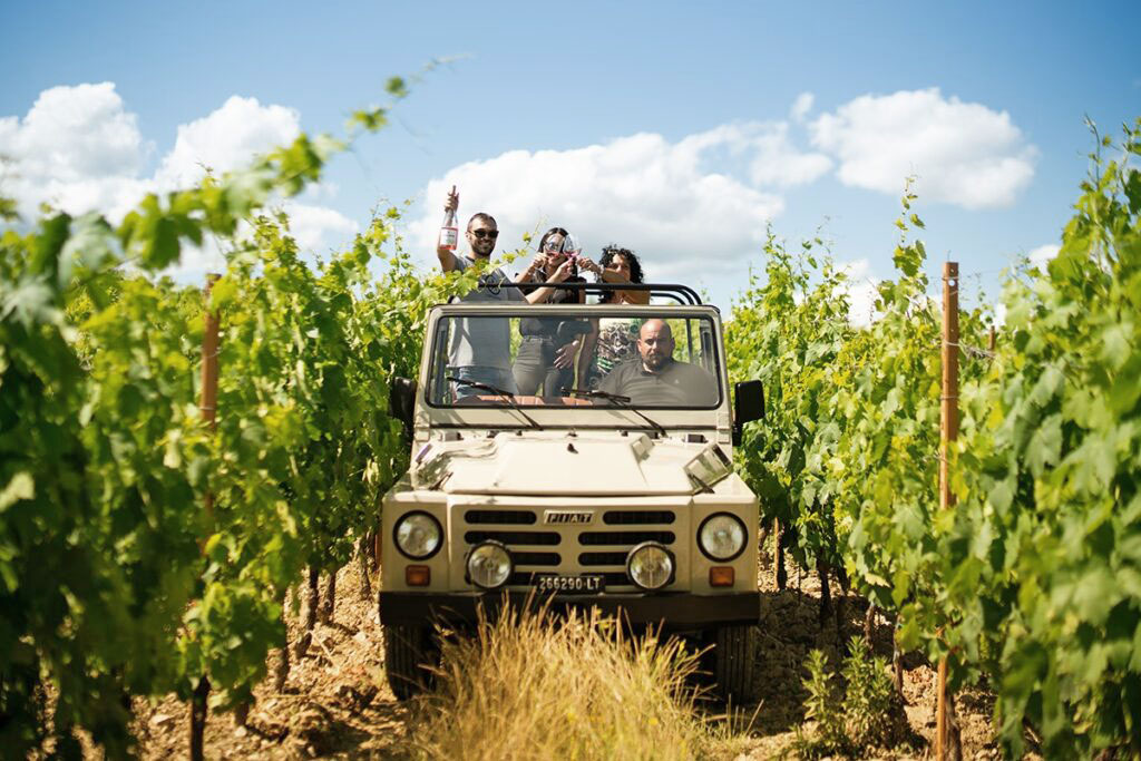 wine safari tuscany